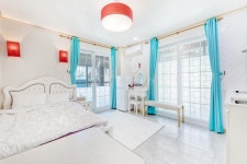 강릉 로뎀나무 애견동반펜션