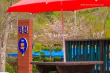단양 톡펜션