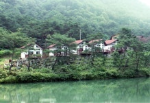 도토리골