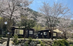 비발디하우스 캠핑&펜션