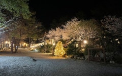 비발디하우스 캠핑&펜션