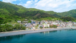 거제도 블루베리펜션