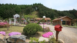 펜션마들렌