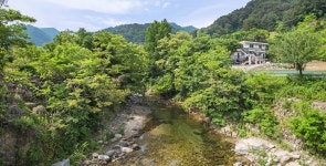 숲속의하얀집펜션