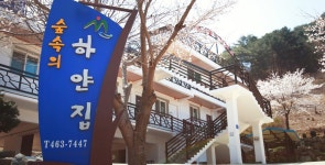 숲속의하얀집펜션