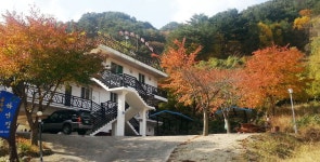 숲속의하얀집펜션