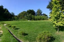 설악파인힐펜션