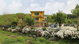 허브스토리펜션