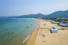 마조레(1동)