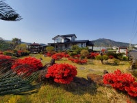 서귀포 올레벗펜션&게스트하우스