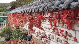 나주 희락정민박 펜션