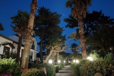 제주 비자림리조트