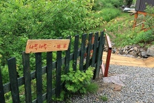나무나무펜션