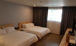 강릉 파인시티호텔