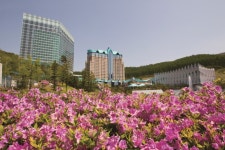 하이원 그랜드 호텔 메인타워