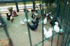 동해보양온천컨벤션호텔