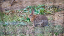 예향애니멀즈펜션