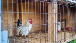 예향애니멀즈펜션