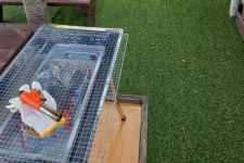 이리온애견펜션