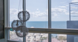 거제 히노끼 해수찜 리조트