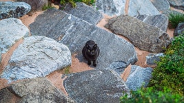 예향애니멀즈펜션