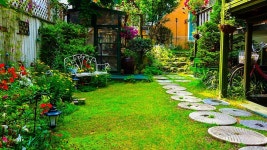 오색로뎀나무아래