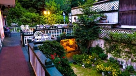 오색로뎀나무아래