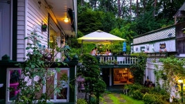 오색로뎀나무아래