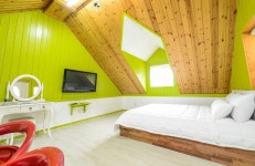 경주 마법의성 애견펜션