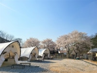 아산 와이제이(YJ)