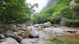 속초 플로팅웨일 설악도적폭포스테이