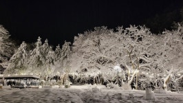 속초 플로팅웨일 설악도적폭포스테이
