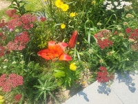 무안 비엔또솔비치 펜션