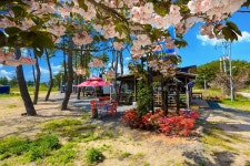 어은돌리솜펜션