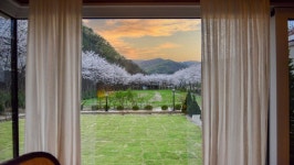 살롱드방동