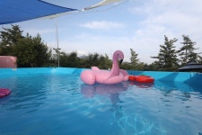 태안 해양정원펜션