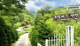 강원인제호랑바우농원펜션