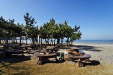 안면도 바다정원펜션 정원동 애견동반