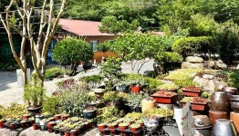 전라무주옥수골계곡펜션