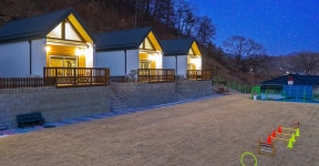 양평 편안하개 애견펜션