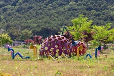 고창 황토복분자펜션