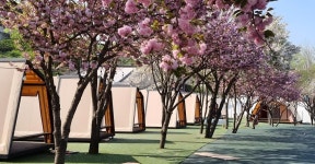 청도 프로방스 글램핑