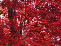 설악산과 동해바다 그리고 온천