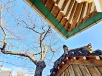 경주 스테이북군