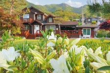 덕산 솔향기펜션