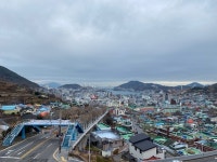 여수 the품고