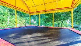 서천 파인트리글램핑