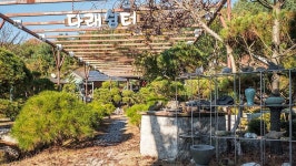 포천 산울터애견동반펜션