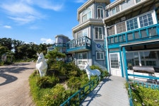 강화 콘체르트펜션(애견 전용풀 운영)