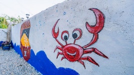 구룡포 장길리민박